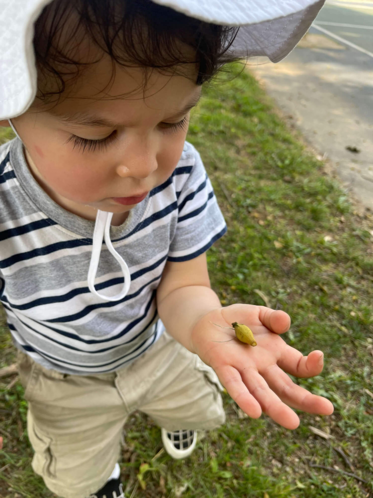 kid with a bug in te hand